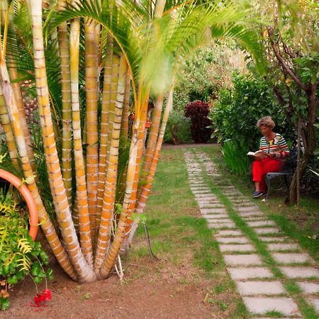 Apartamentos Adjovimar Los Llanos De Aridane Εξωτερικό φωτογραφία