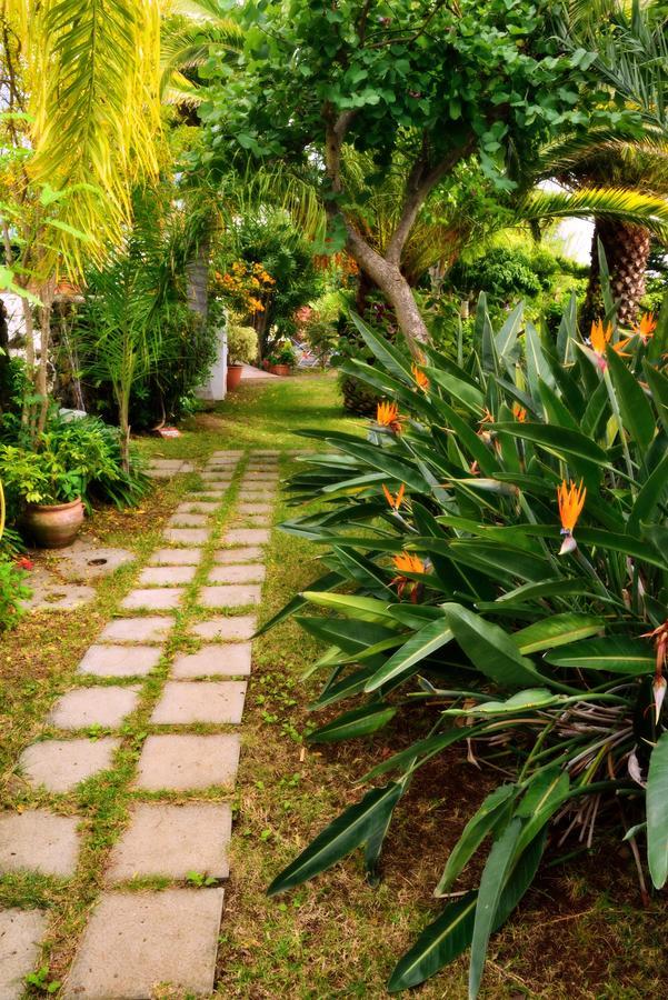 Apartamentos Adjovimar Los Llanos De Aridane Εξωτερικό φωτογραφία