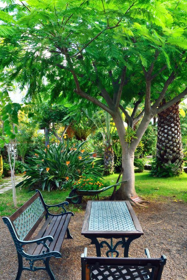 Apartamentos Adjovimar Los Llanos De Aridane Εξωτερικό φωτογραφία